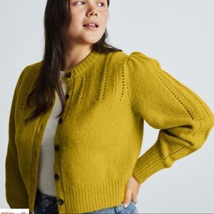 Everlane Cloud Cardigan | XS | Dried Palm
